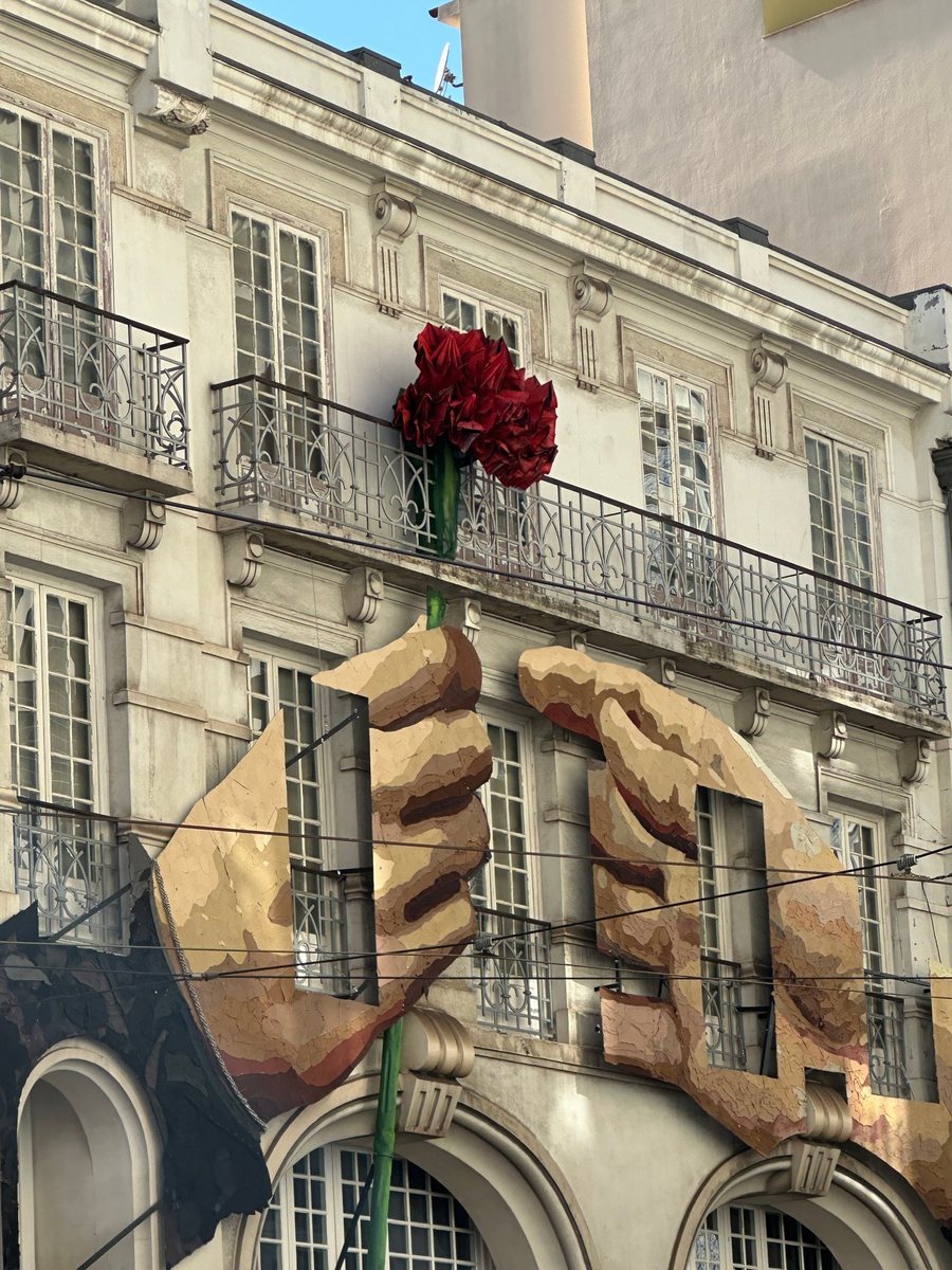 Eine Rose vor klassischer Fassade — Lissabon, eigenes Foto von Dina